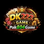 DK222 Game logo