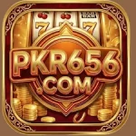 PKR656 Game icon